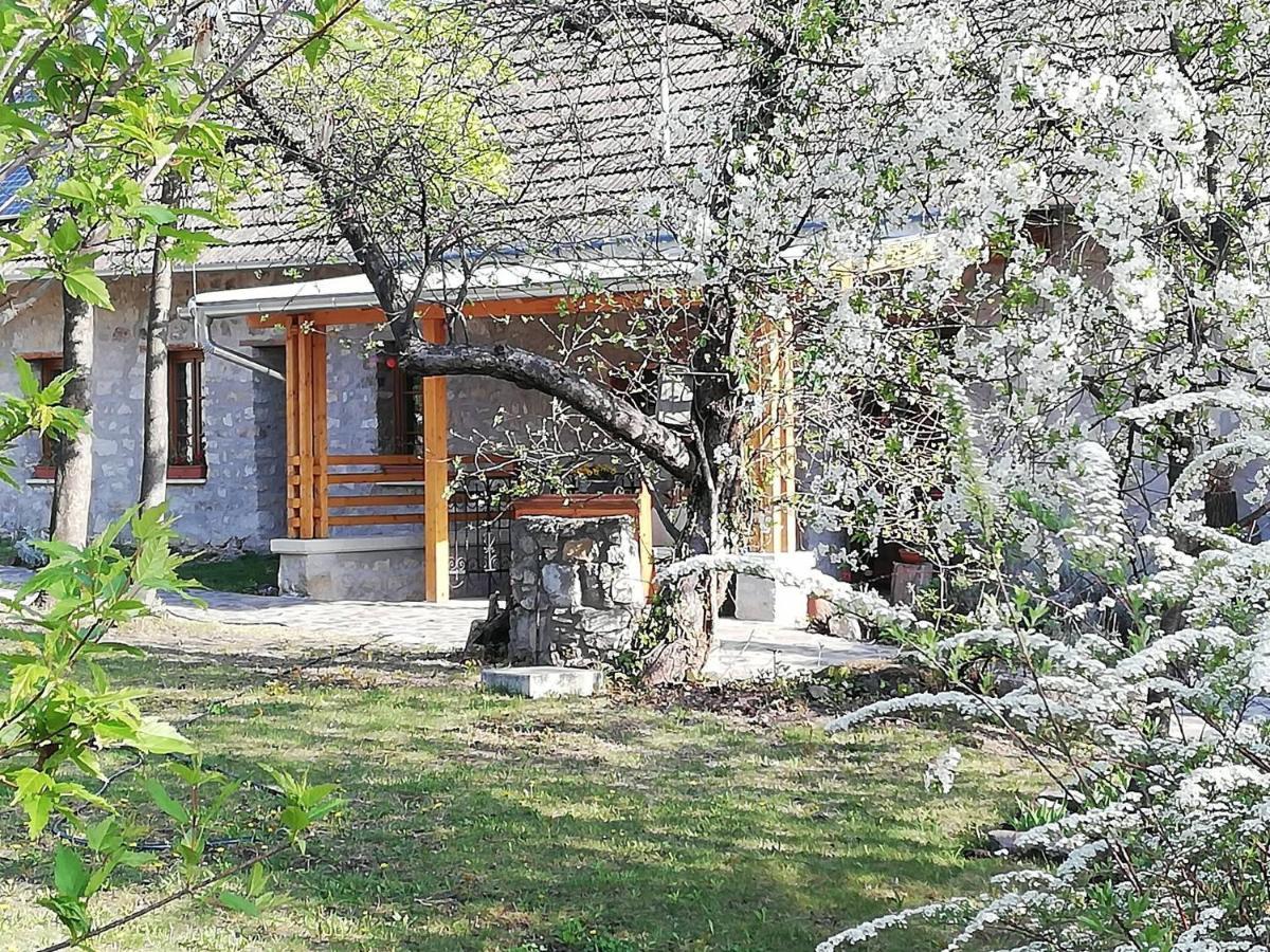 Karadi-Berger Vendeghaz Apartment Erdobenye Bagian luar foto