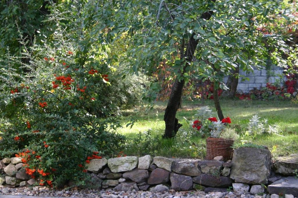 Karadi-Berger Vendeghaz Apartment Erdobenye Bagian luar foto
